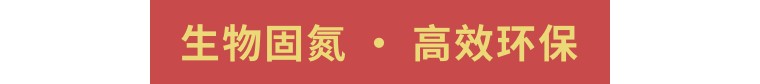 綠色引領(lǐng)·創(chuàng)新致遠 | 領(lǐng)先生物榮獲化肥農(nóng)藥減量增效雙項殊榮